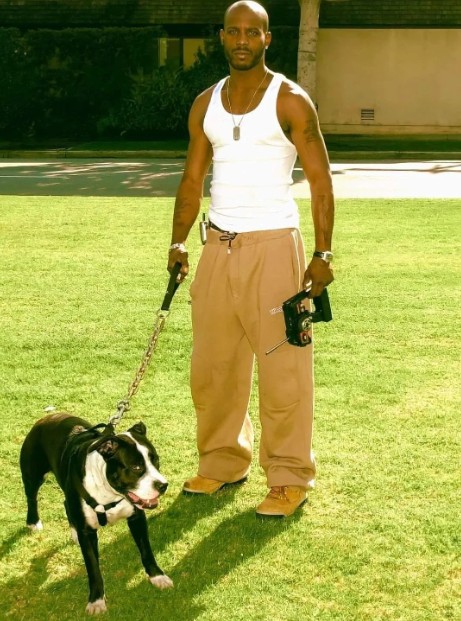 DMX
